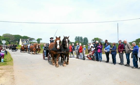 Les cavaliers , meneurs et leurs chevaux très appréciés du public